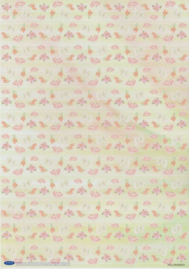 Janneke Brinkman - Vellum - A4