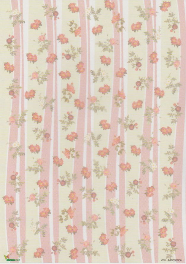 Romantic Roses  - Vellum - A4