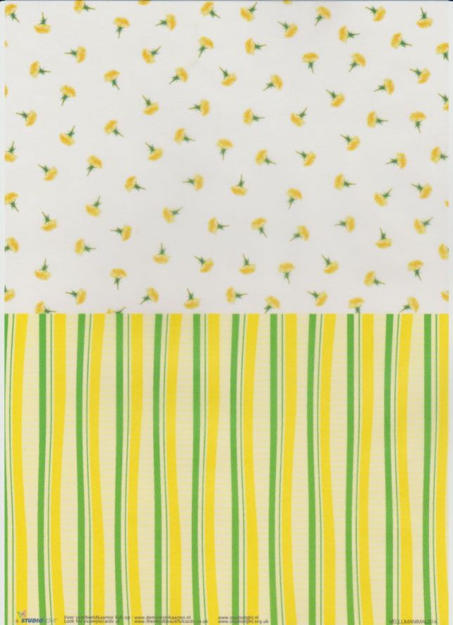 Animals  - Vellum - A4