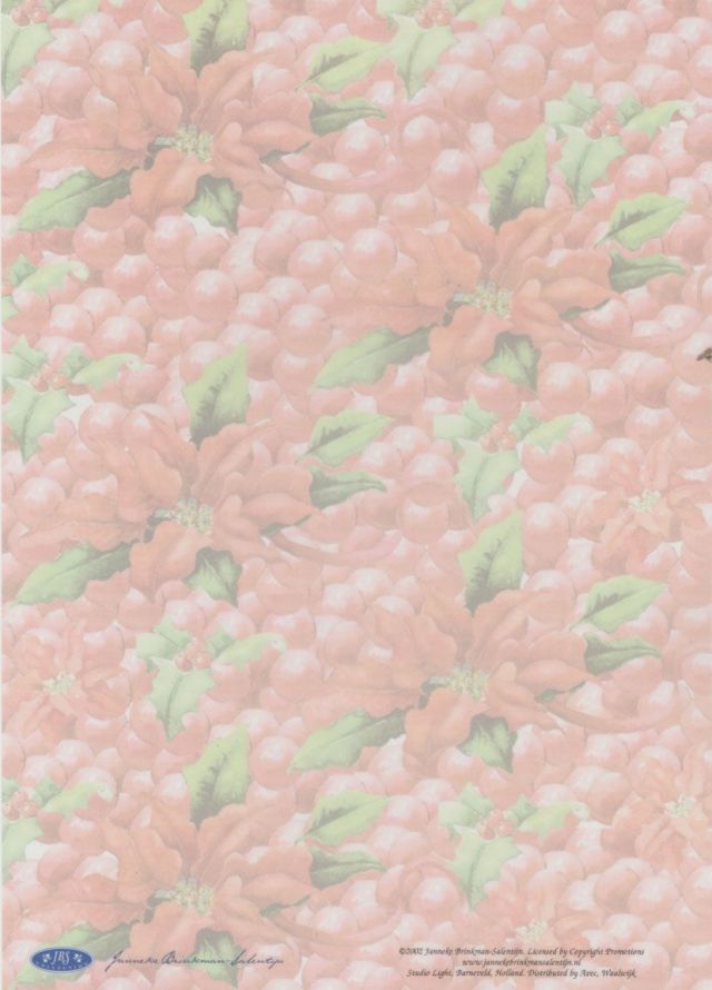 Janneke Brinkman - Vellum - A4