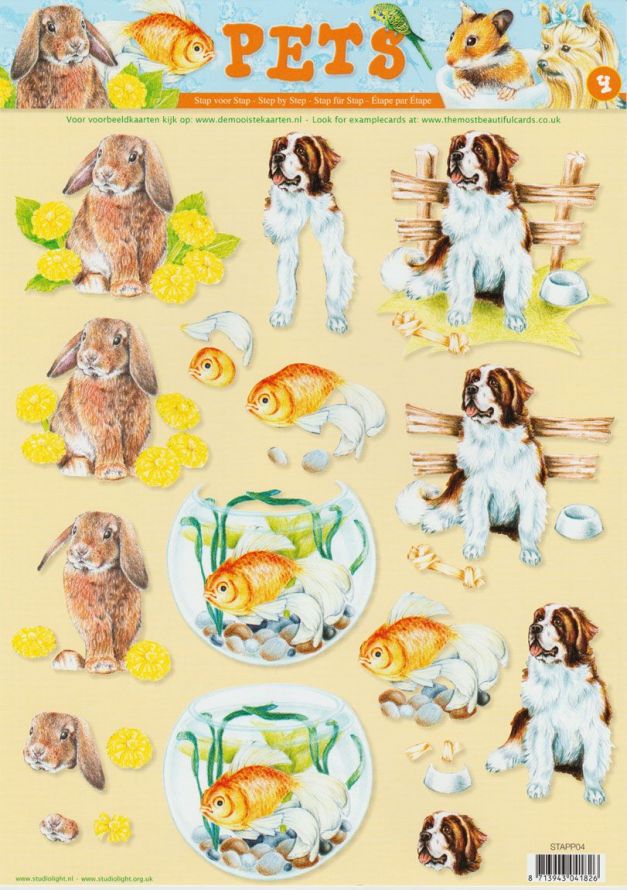 Pets  - 3DA4 Stap voor Stap Knipvel