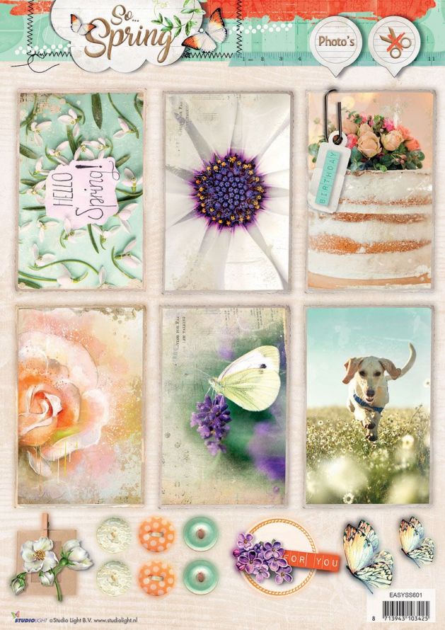 So Spring - A4 Foto Stansvel