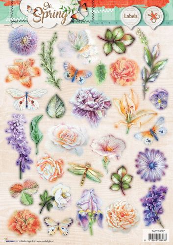 So Spring - A4 Labels Stansvel